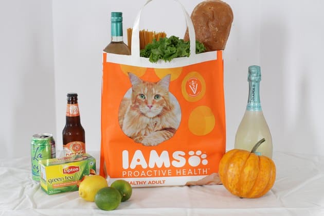 Pet Food Bag Grocery Tote Bag 15 exquisite DIY reusable grocery bags