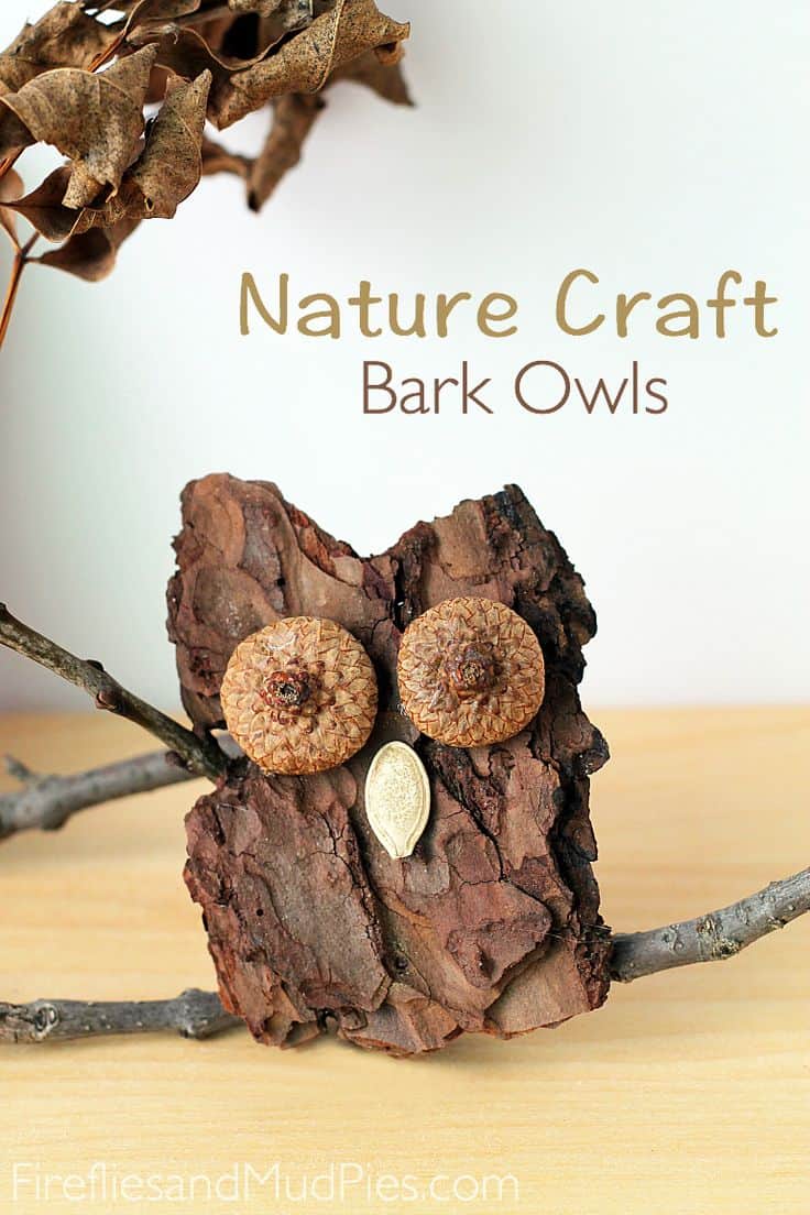 15 kinds of exquisite crafts made by nature with bark acorn and pumpkin seed owl