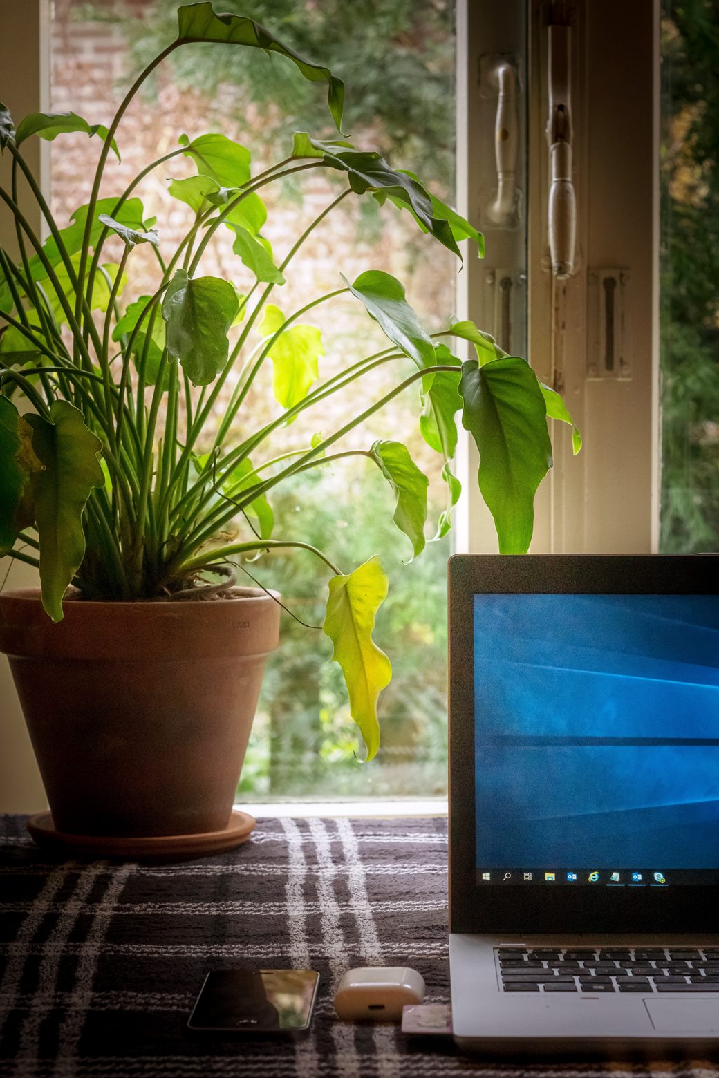 Advantages of working from home in a garden office