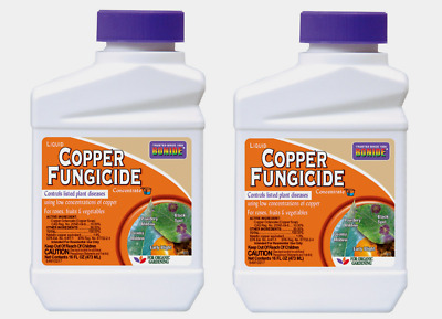 Is bonide copper fungicide safe?