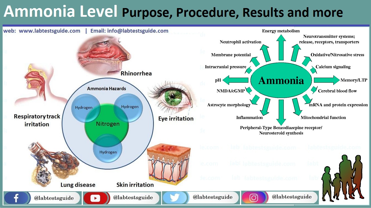 What Is A High Ammonia Level vrogue.co