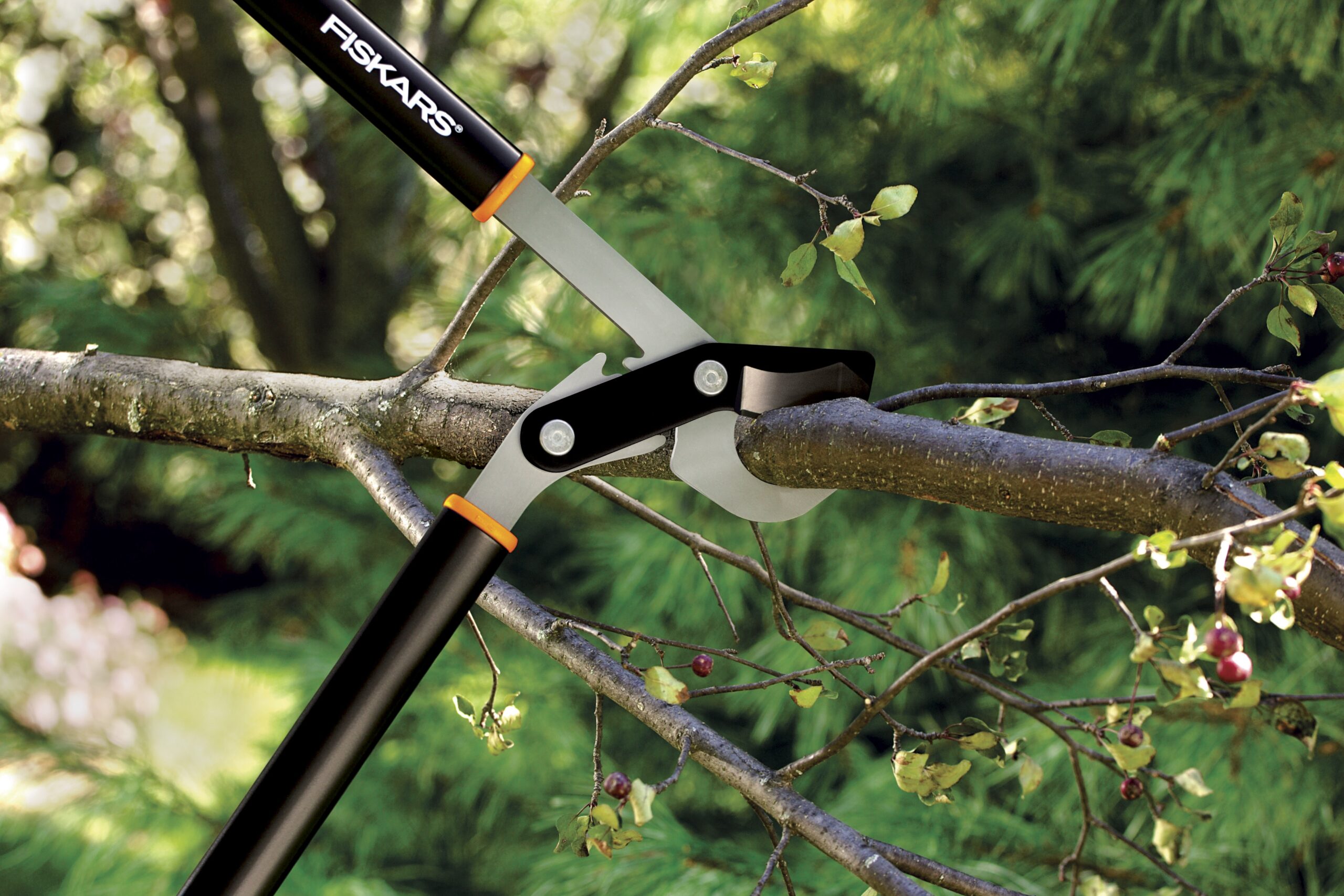 what-is-the-best-tool-to-cut-thick-branches