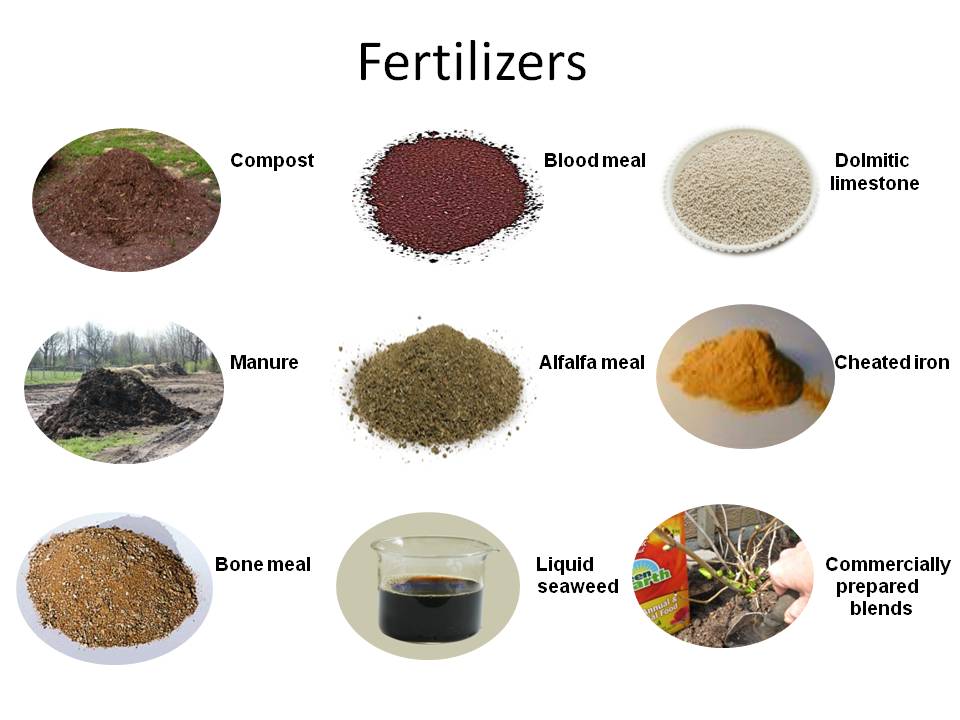 What Are The Two Types Of Organic Fertilizer 