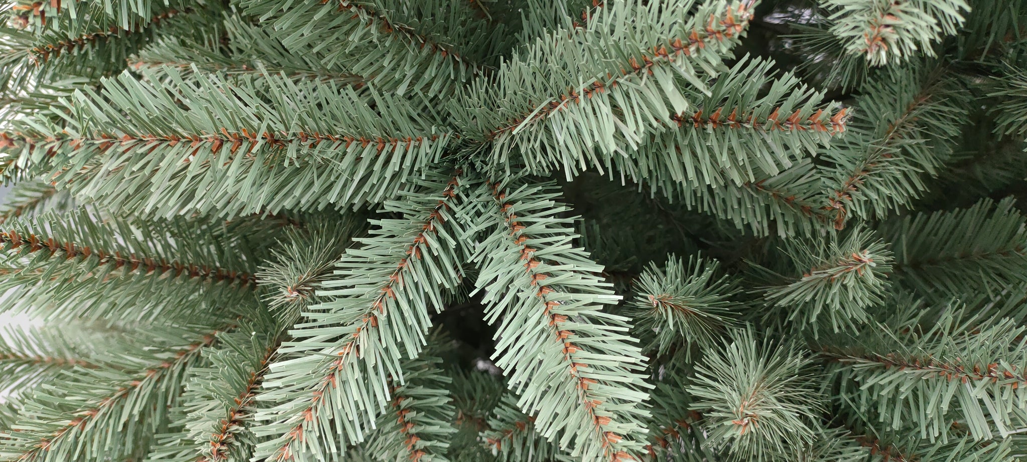 how-much-is-a-6-foot-blue-spruce