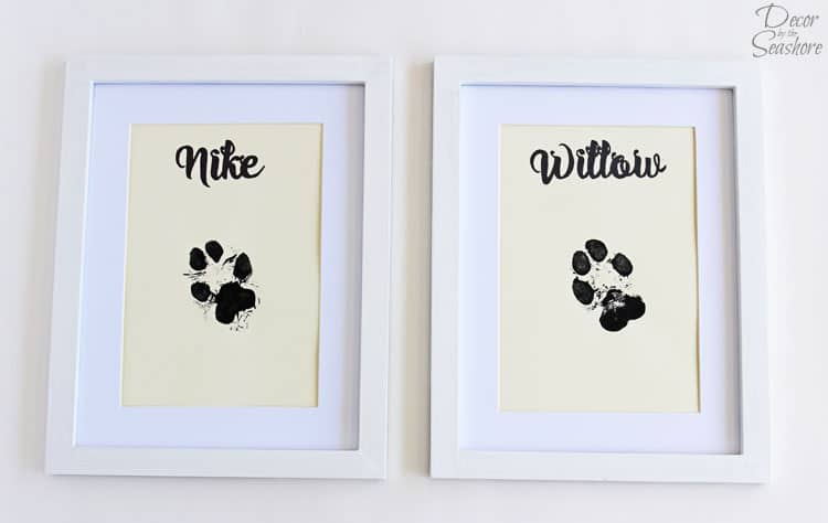 10 DIY Ideas for Respecting the Special Paws in Your Life