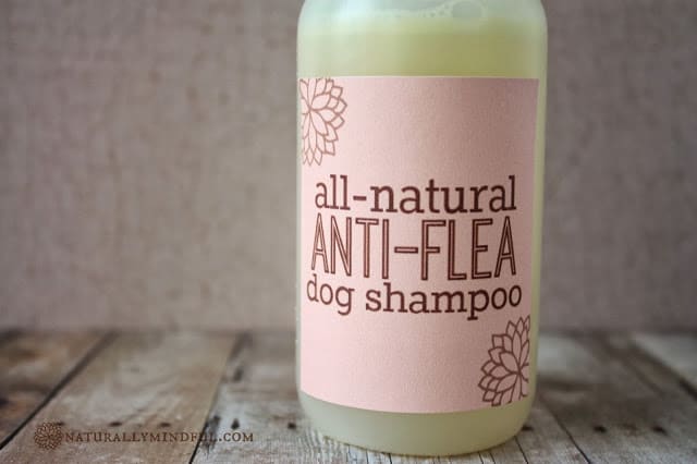 12 DIY Dog Shampoos for Soft, Healthy Fur