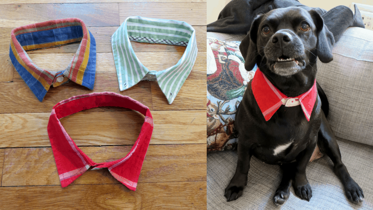 DIY puppy dress shirt collar 15 best DIY pet collars that look awesome