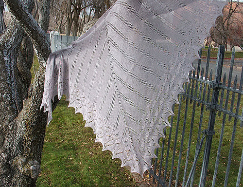 Icarus shawl