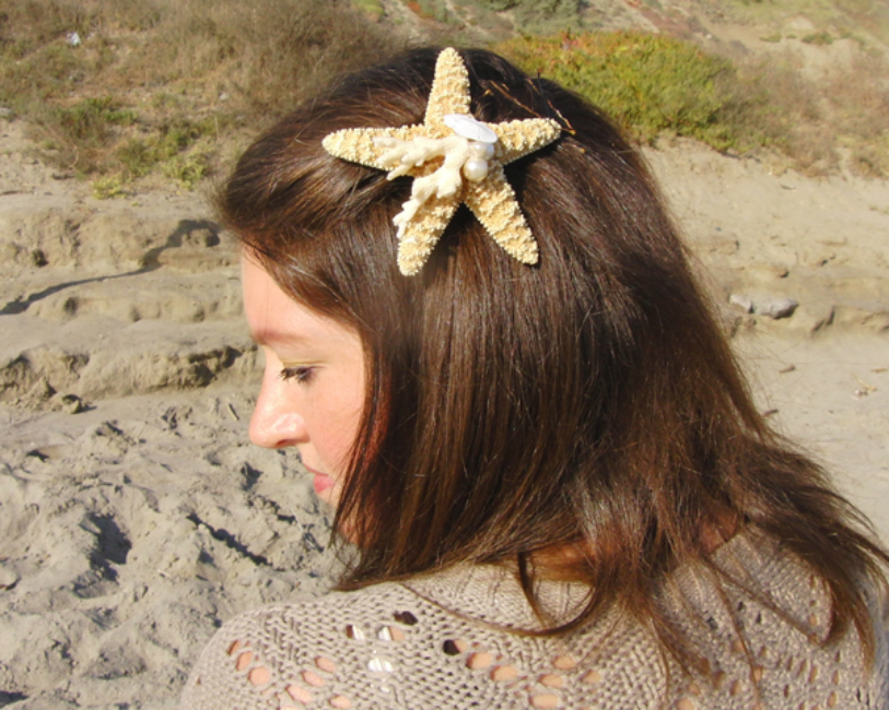 starfish hairpin