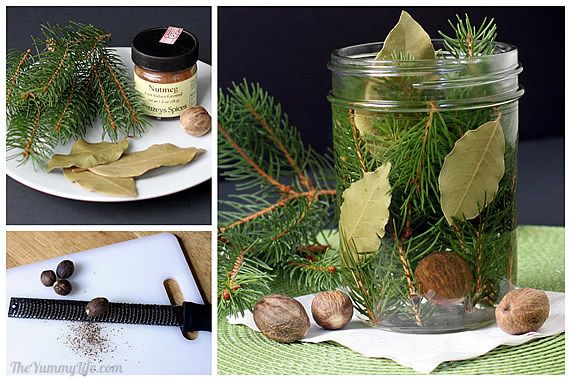 Pine, bay leaf and nutmeg potpourri