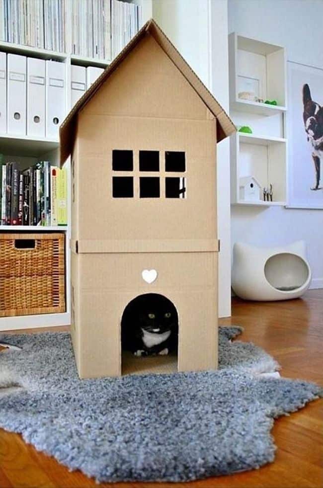DIY Cardboard Kitten House