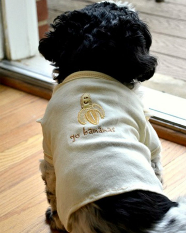 dog shirts for baby clothes