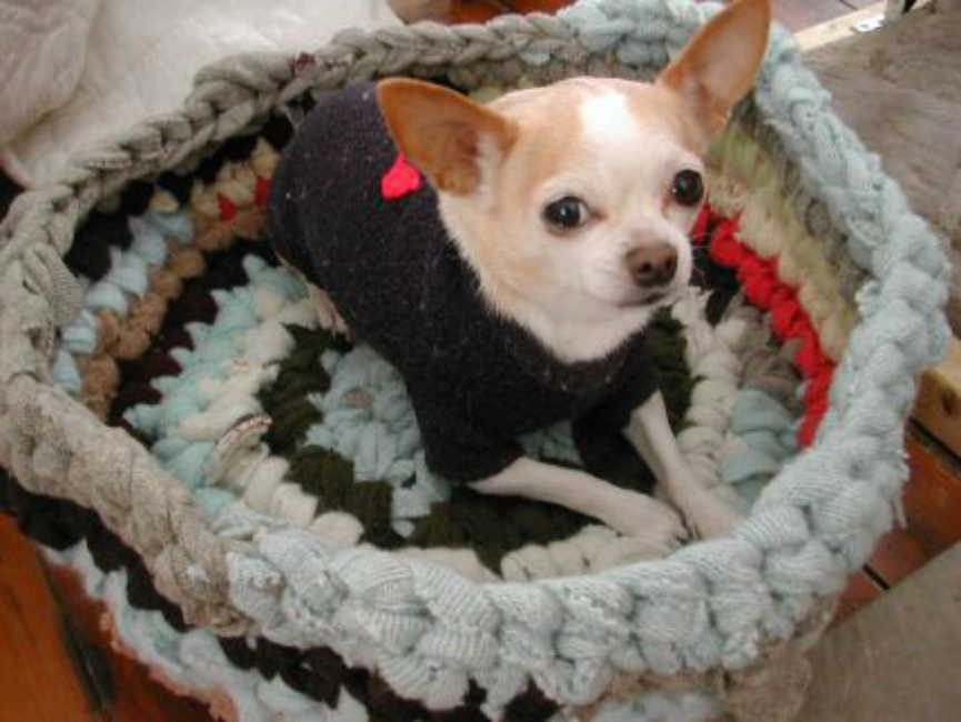 Recycled T-Shirt Pet Bed