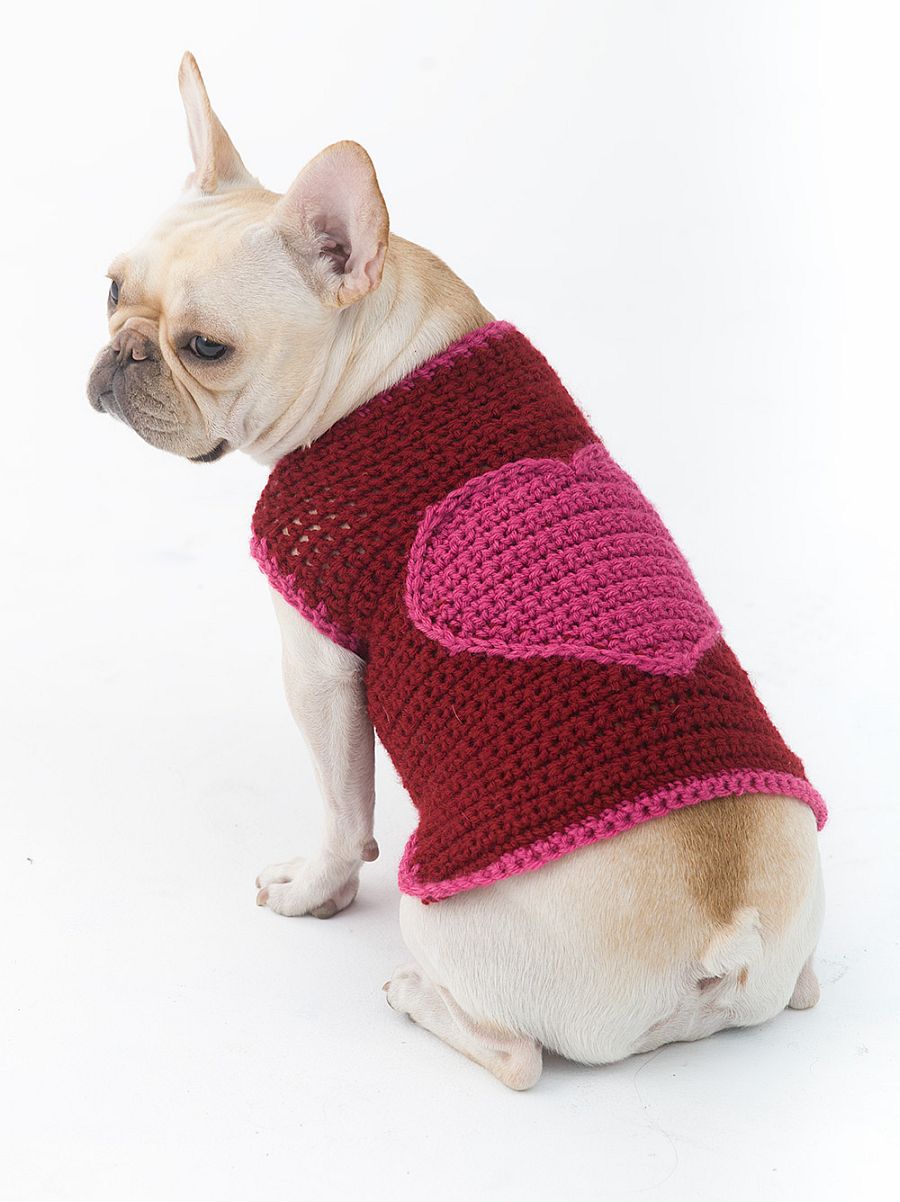 heart embellished dog sweater