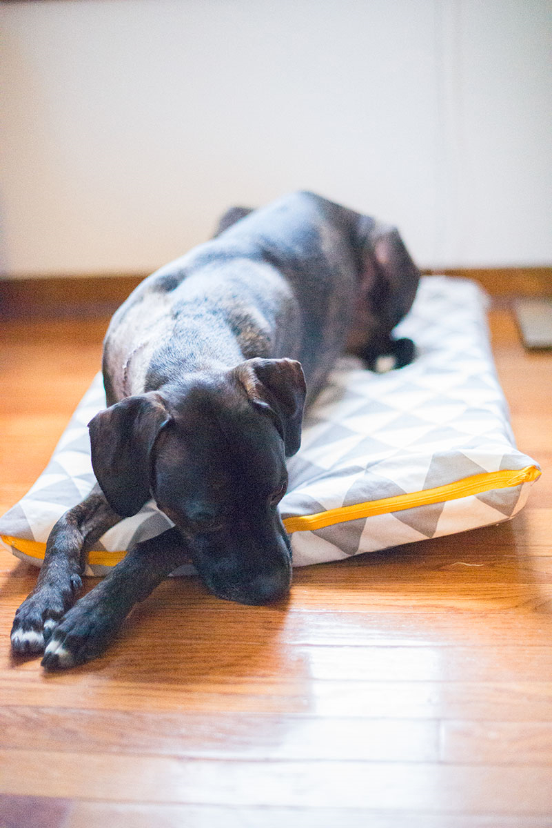 zippered dog pillow bed