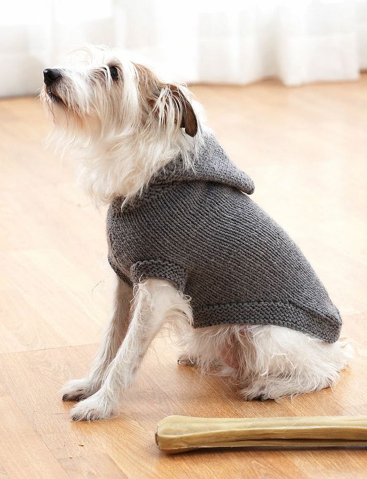 hooded dog sweater