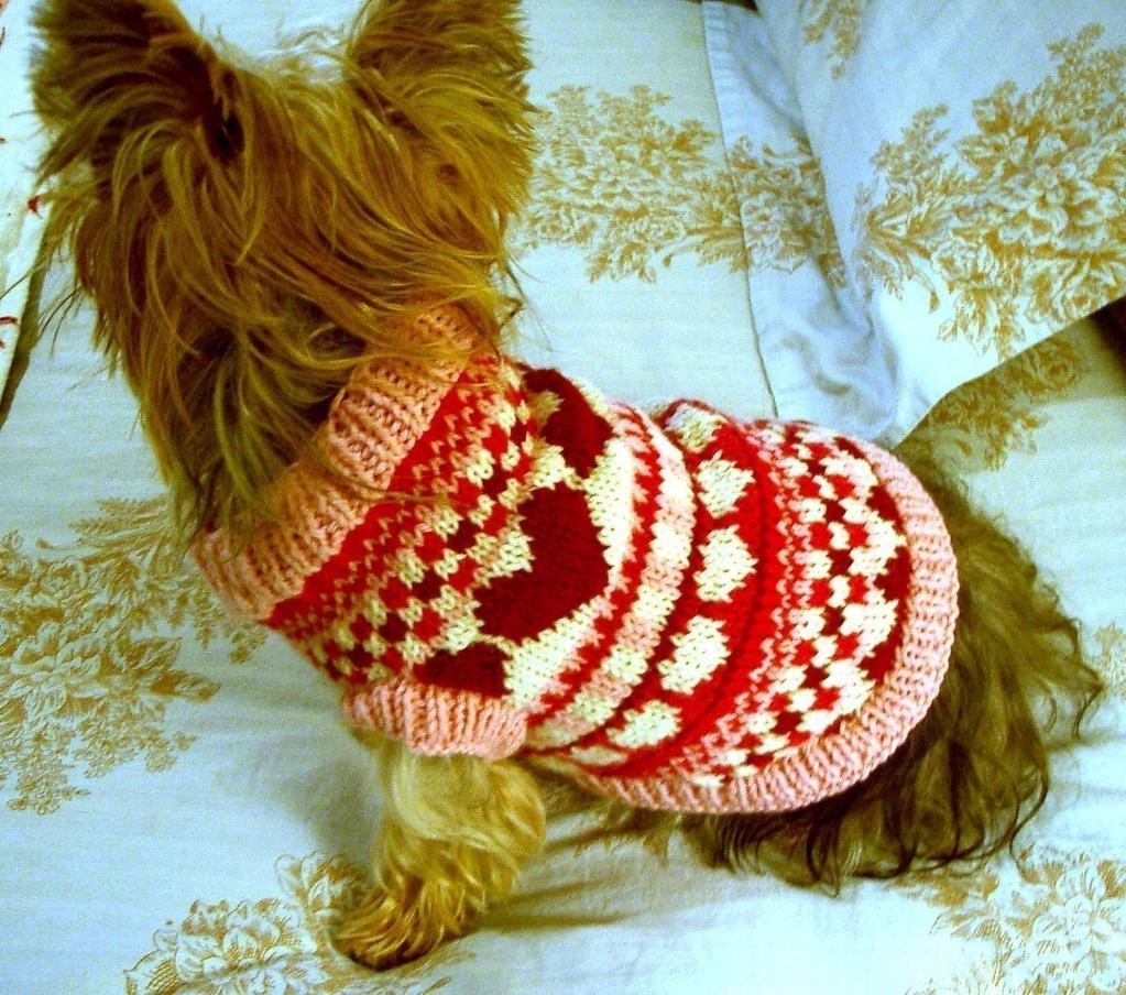 puppy love sweater