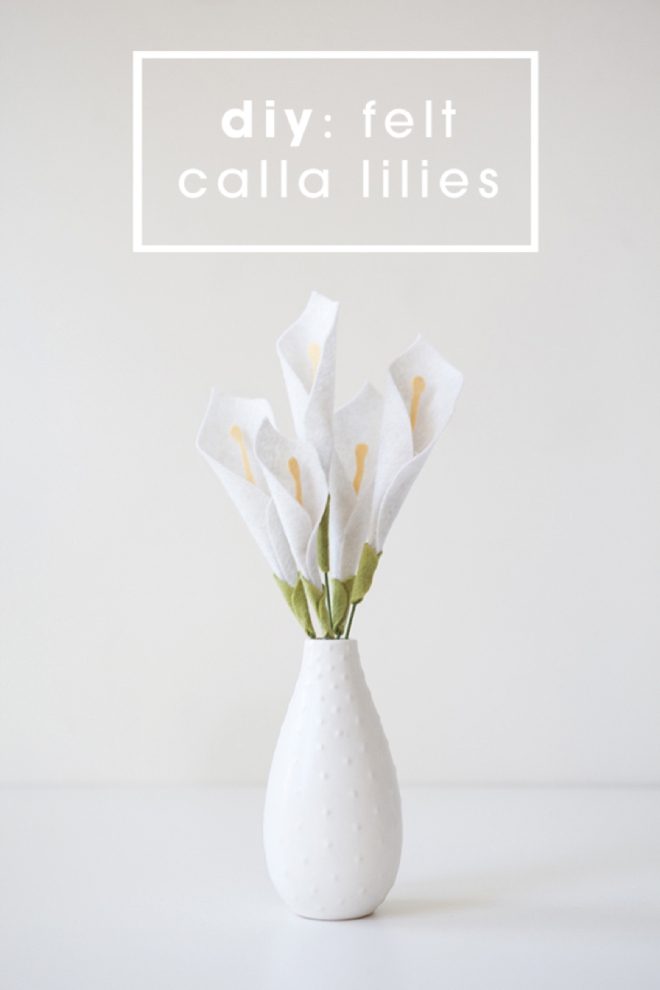 Feel the calla lily