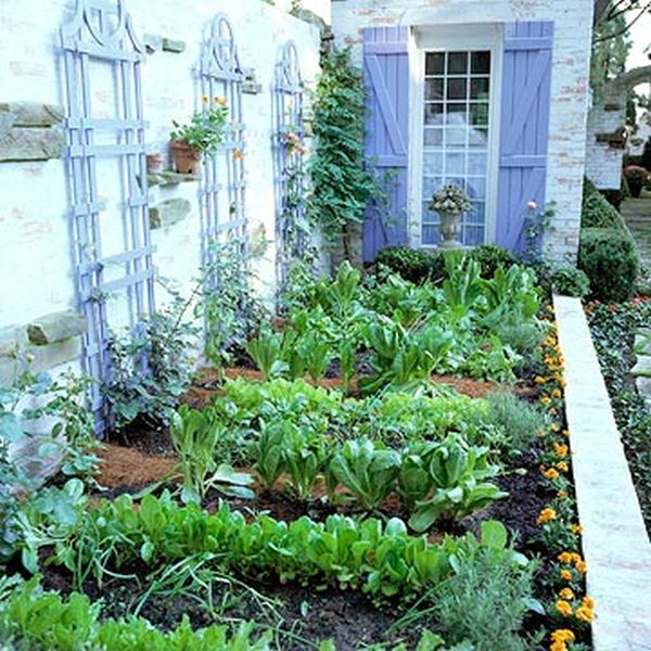 backyard vegetable garden ideas how to plan a vegetable garden