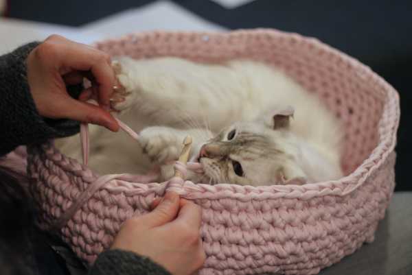 Crochet Cat House Cute and Hug Crochet Cat Hole Free Pattern and Guide