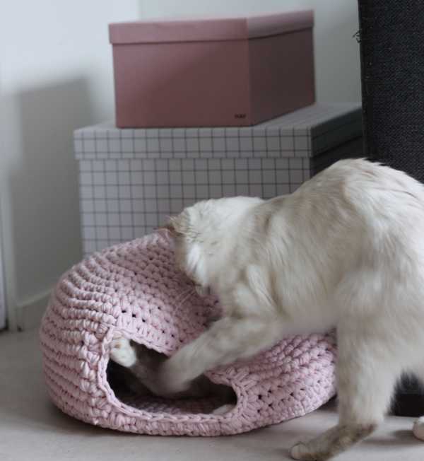 Cat House Crochet Project