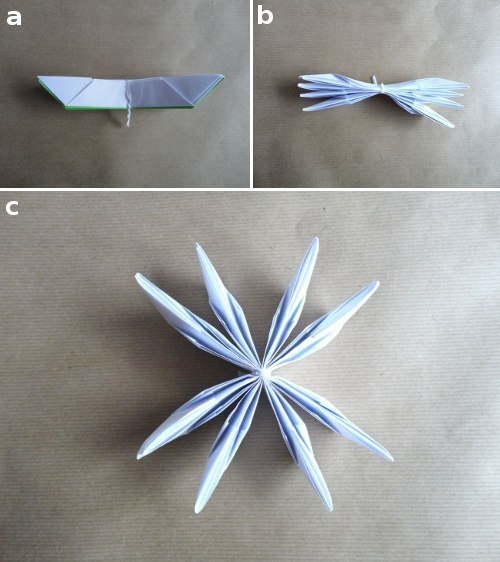 Origami Lotus 6
