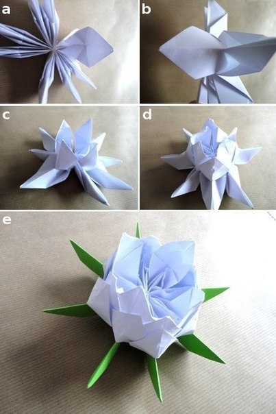 Origami Lotus 7