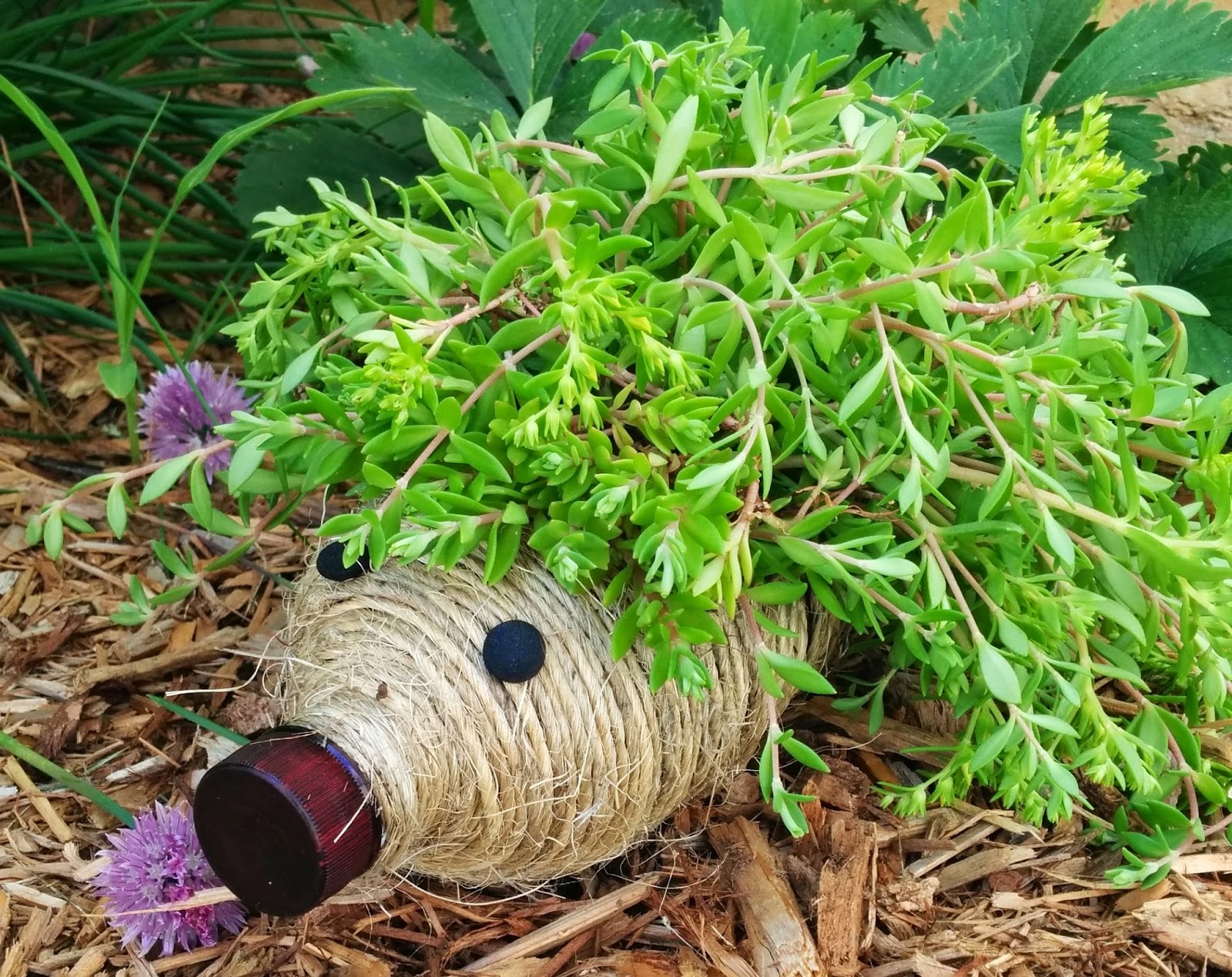 DIY Hedgehog Planters for Your Garden