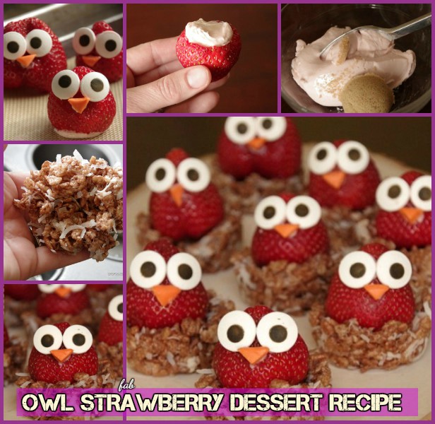DIY Owl Strawberry Dessert Recipe