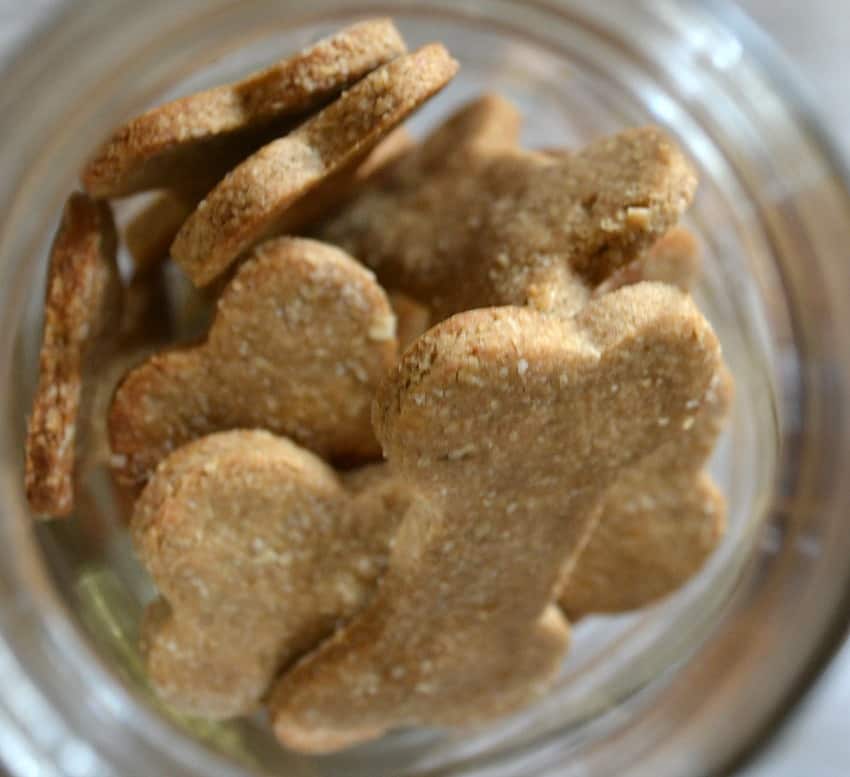 Dog Treats Recipes for Your Fluffy BFF
