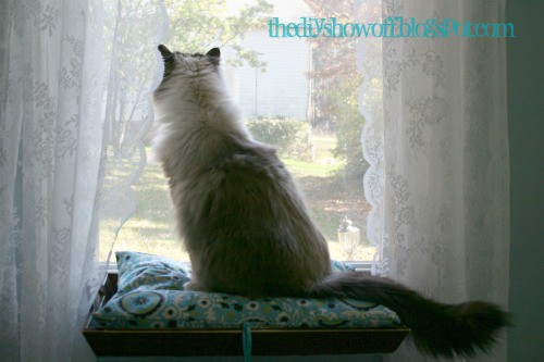 Step 17 How to Make a Window Seat for Your Kitten