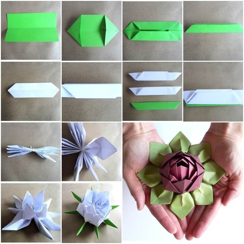 Origami Lotus F Incredible Origami Lotus Instructions