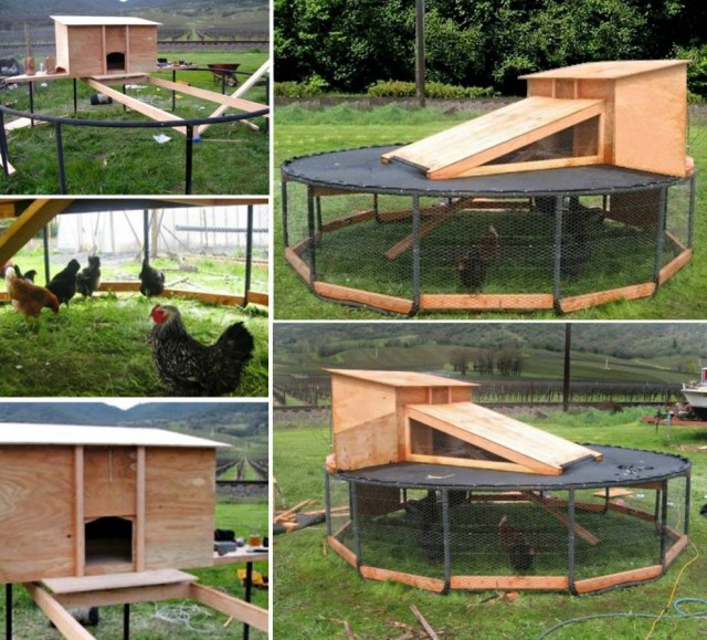 10+ DIY Backyard Chicken Coop Plans and Tutorials