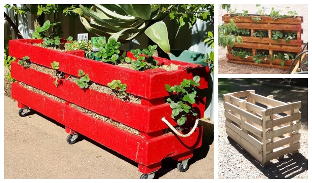 DIY Vertical Strawberry Planter with Recycle Tray