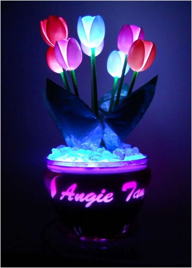 Glowing Plastic Spoon of Tulips