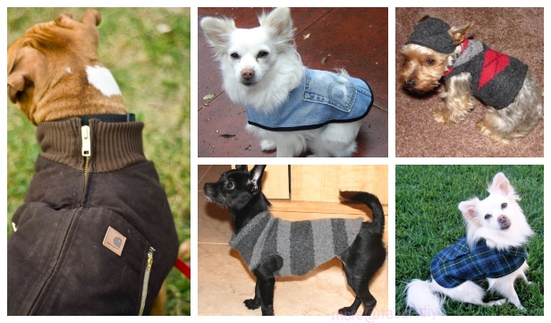 DIY Pet Coats & Sweaters Free Sewing Patterns & Tutorials
