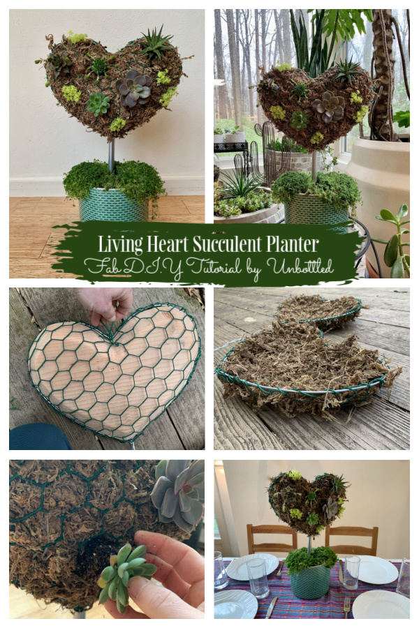 Living Heart Succulents Valentine's Day DIY Tutorial