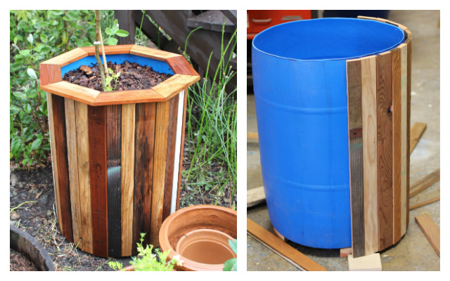 Low Cost 55 Gallon Bucket Planter DIY Tutorial