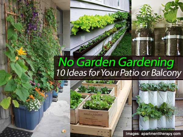 NO Garden Gardening – 10 ideas for patios or balconies