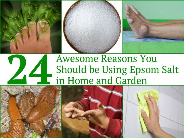 24 Great Epsom Salts for the Home and Garden