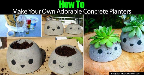 DIY How To Make Your Own Adorable Concrete Planter