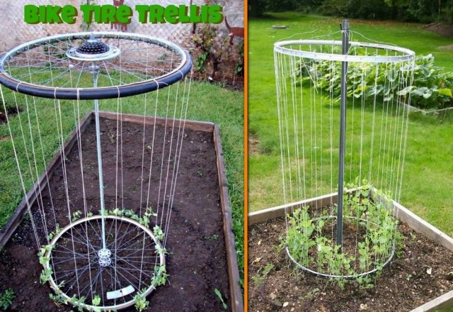 How to Make a Bicycle Rim Trellis
