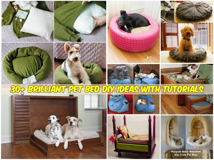 30+ Brilliant Pet Bed DIY Ideas and Tutorials