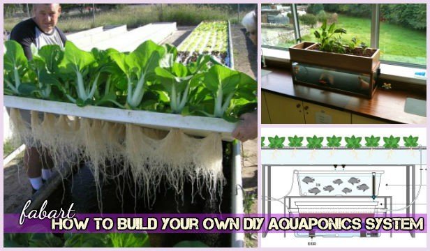 How To Build Your Own DIY Aquaponics Tutorial - Video